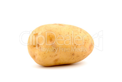 Potato