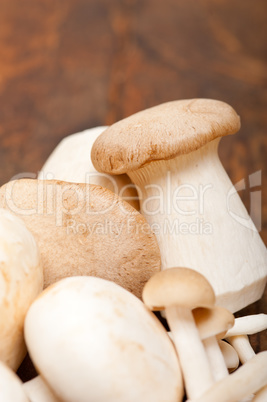 fresh wild mushrooms