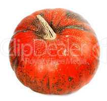 Red ripe pumpkin