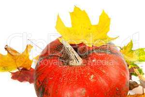 Red ripe pumpkin and autumn leaves