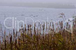 See auf Ameland, NL - Lake on Ameland, NL