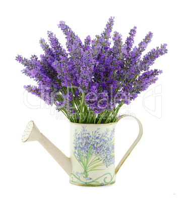 Watering can with lavender