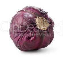 Whole purple cabbage