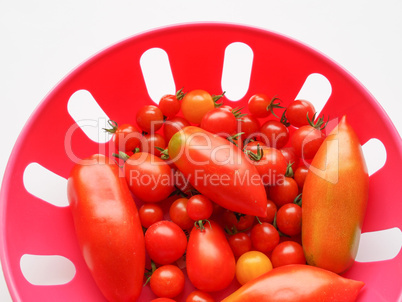Tomato vegetable Tomato vegetable