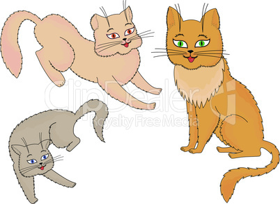 Three funny cartoon cats