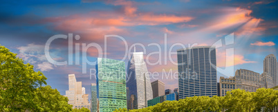 Tall skyscrapers over Bryant Park trees, Manhattan - New York Ci