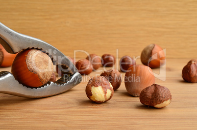 Hazelnuts cracking