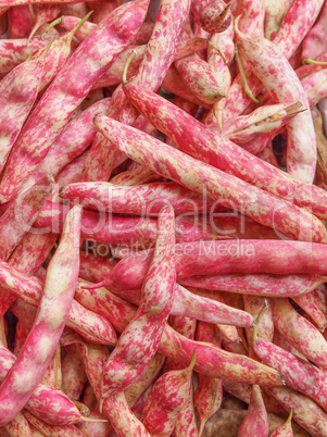 Cranberry beans