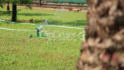 Grass Sprinkler watering
