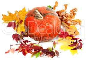 Red ripe pumpkin and autumn leaves on white background