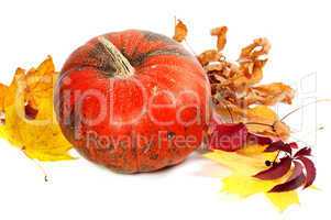 Ripe pumpkin and autumn leaves