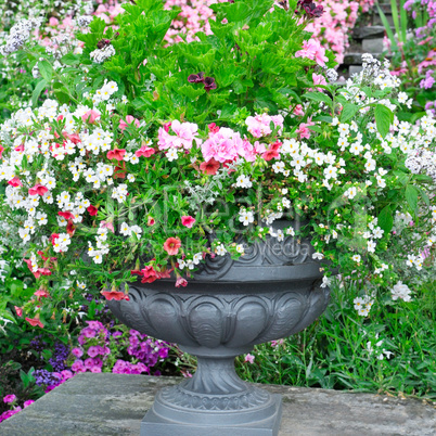 beautiful flower bed in vase