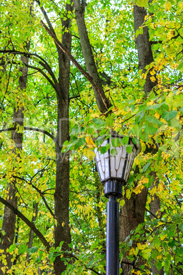 lantern in autumn park