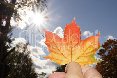 Herbstfarben