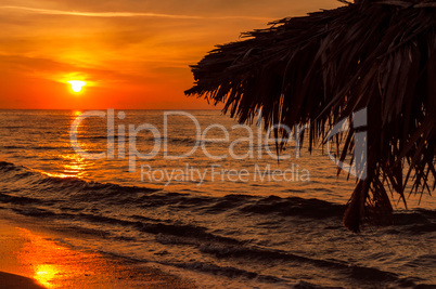 Landscape of sunset with the silhouette of beach umbrella