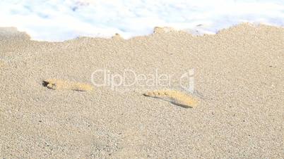 Foot trace on beach