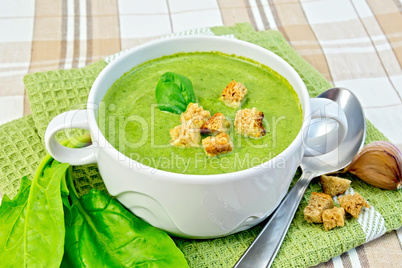 Soup puree with spinach and garlic on fabric