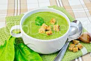 Soup puree with spinach and garlic on fabric