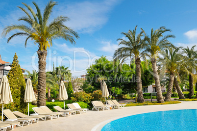 outdoor swimming pool and beautiful palm trees