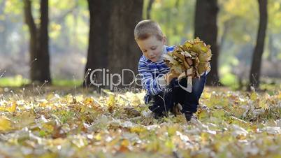 little boy collecting leaves in the woods