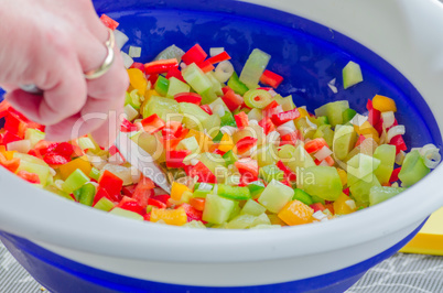 Frischer Paprika Salat Mix