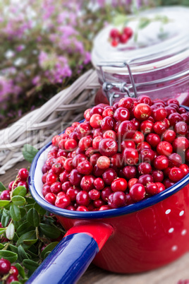 Lingonberries