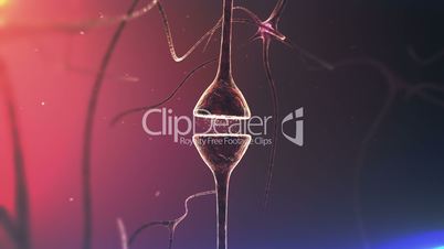 Brains Neurons. Chemical synapse. Closeup.