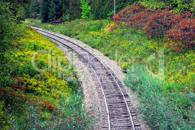 Railway tracks in forest curving left.