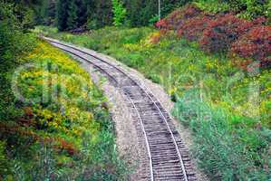 Railway tracks in forest curving left.