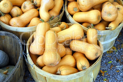 Baskets with pile of orange squash vegetables.