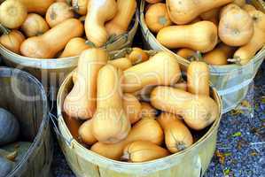 Baskets with pile of orange squash vegetables.