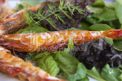 Underside Of Grilled Shrimp