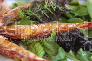 Underside Of Grilled Shrimp