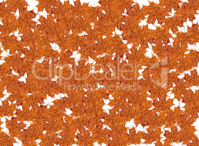 texture from yellow leaves