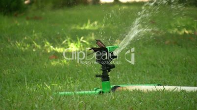 Grass Sprinkler watering