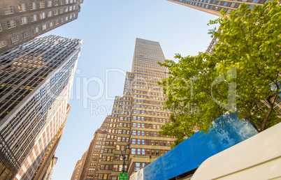 New York. Wonderful view of city skyscrapers on a beautiful even