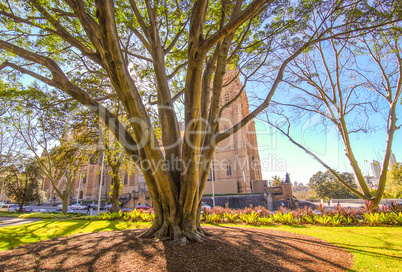 Sydney. Park and architecture