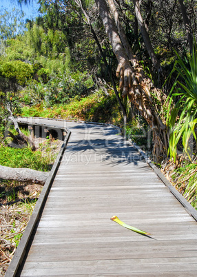 Colors of Queensland coast, Australia