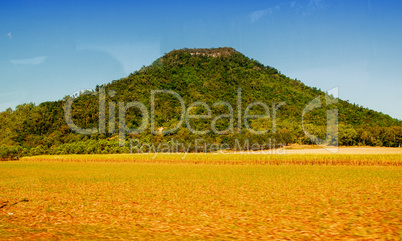 Colors of Queensland countryside, Australia