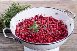 cranberries in a colander