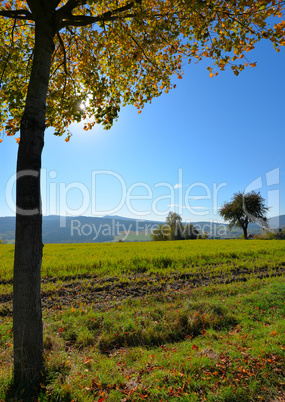 Herbst Landschaft