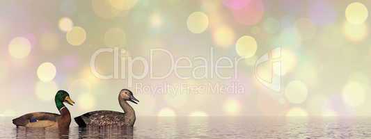Mallard ducks - 3D render