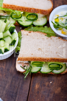 fresh vegetarian sandwich with garlic cheese dip salad