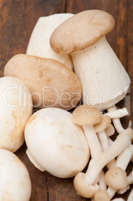 fresh wild mushrooms