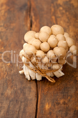 fresh wild mushrooms