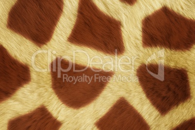 Fur Animal Textures, Girafe