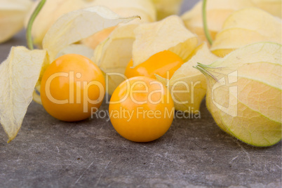 cape gooseberry