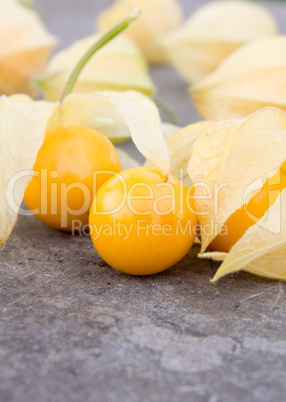 cape gooseberry