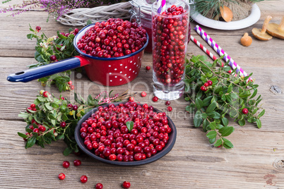 Lingonberries