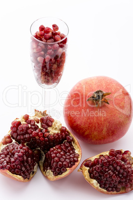 Pomegranate, Punica granatum.